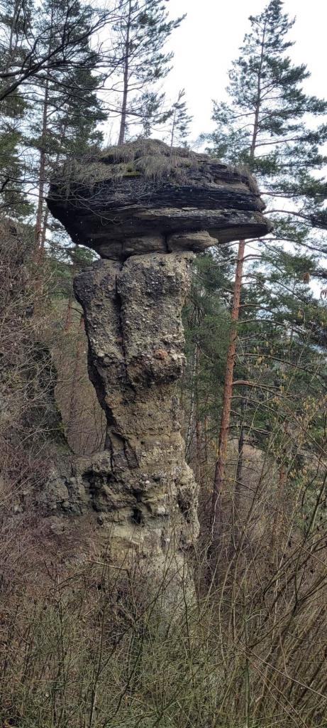 Šikľavá skala a Markušovský kamenný hríb